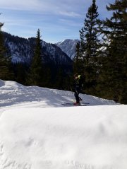 20180311_082707.jpg